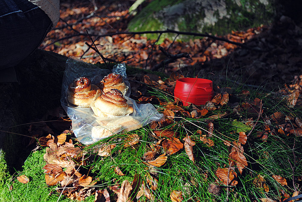 Opskrift: Kantarellesuppe | Frk. Kræsen