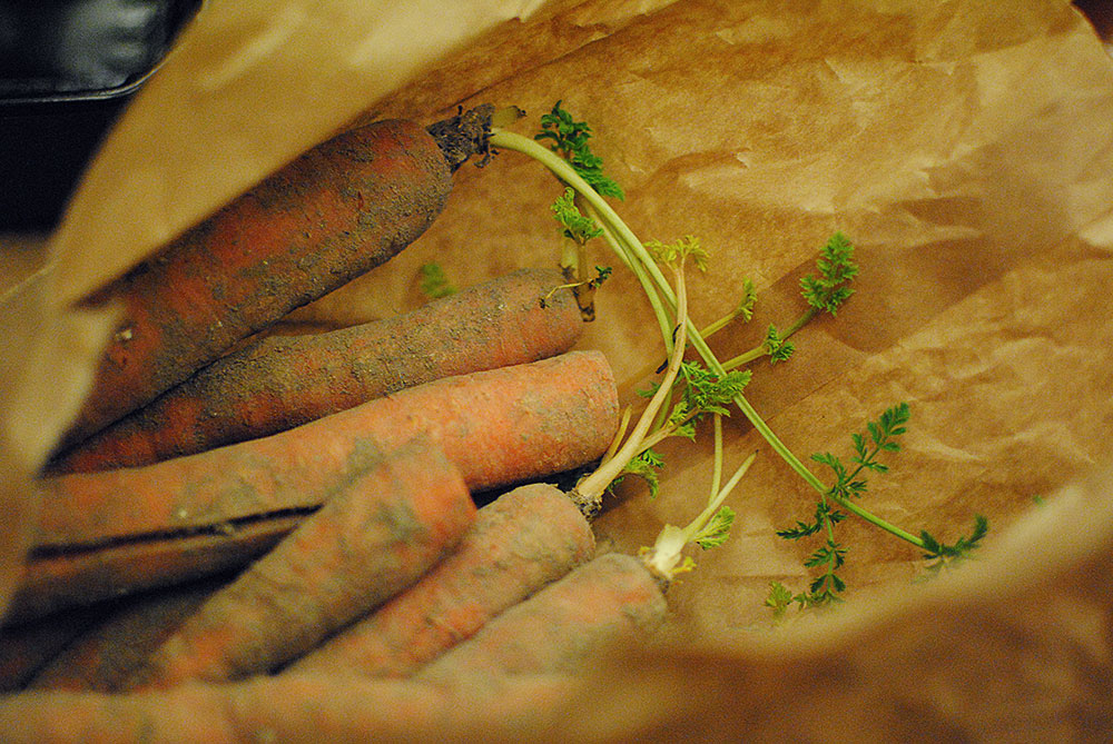 Urban farming | Frk. Kræsen