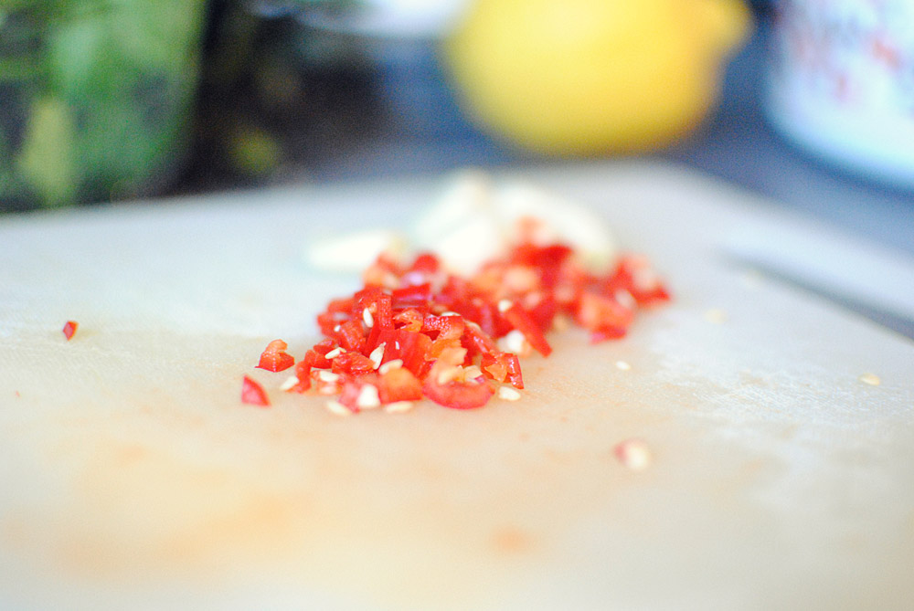 Opskrift: Blåmuslinger med fennikel, citron og chili | Frk. Kræsen