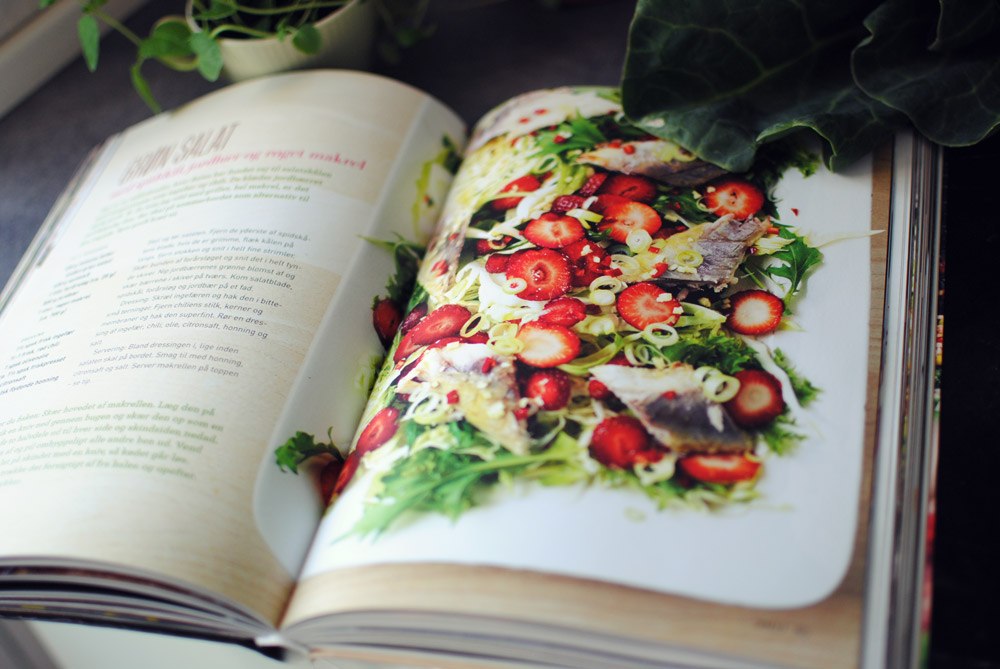 Opskrift: Salat med spidskål, jordbær og makrel | Frk. Kræsen