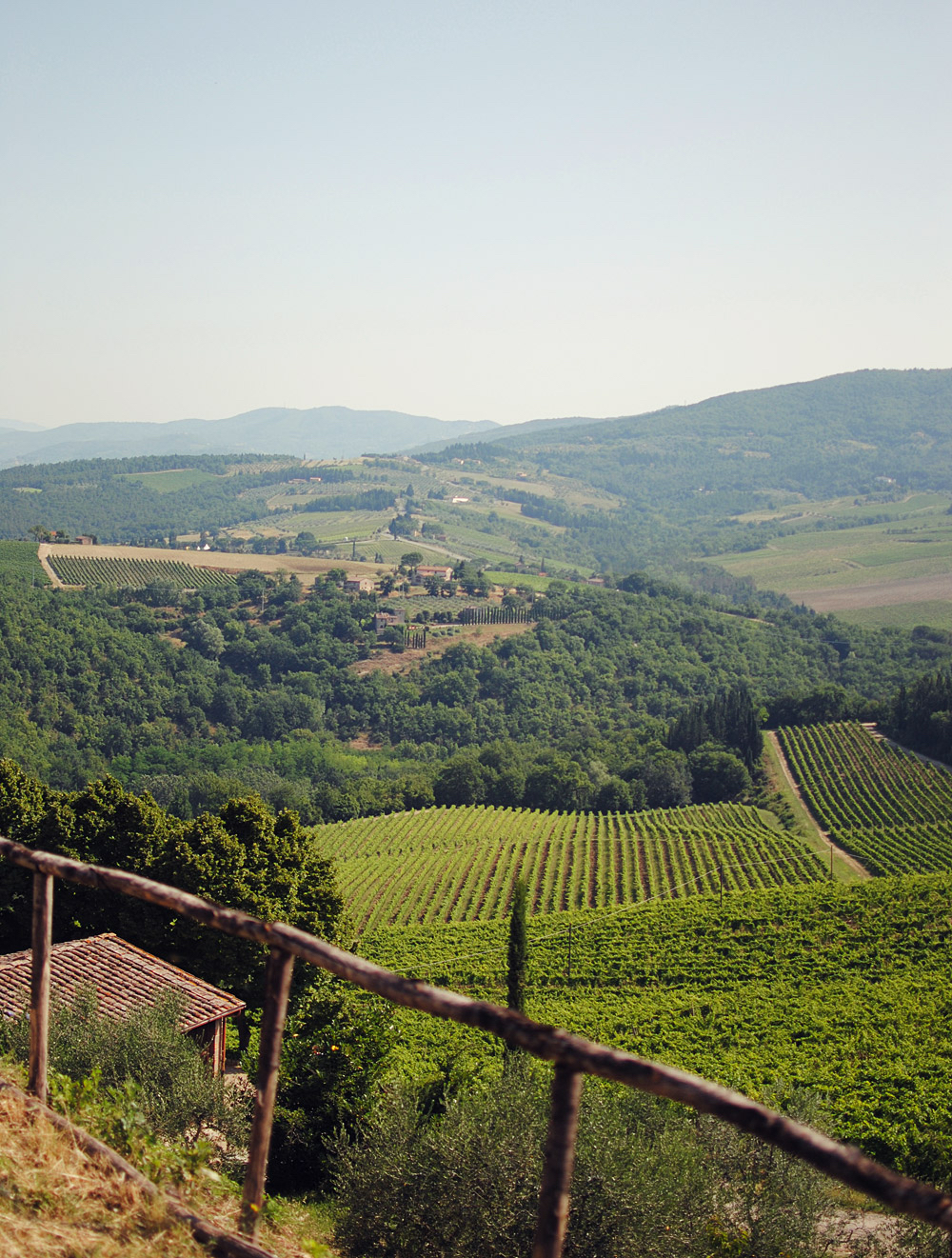 Guide til Toscana og Greve in Chianti | Frk. Kræsen