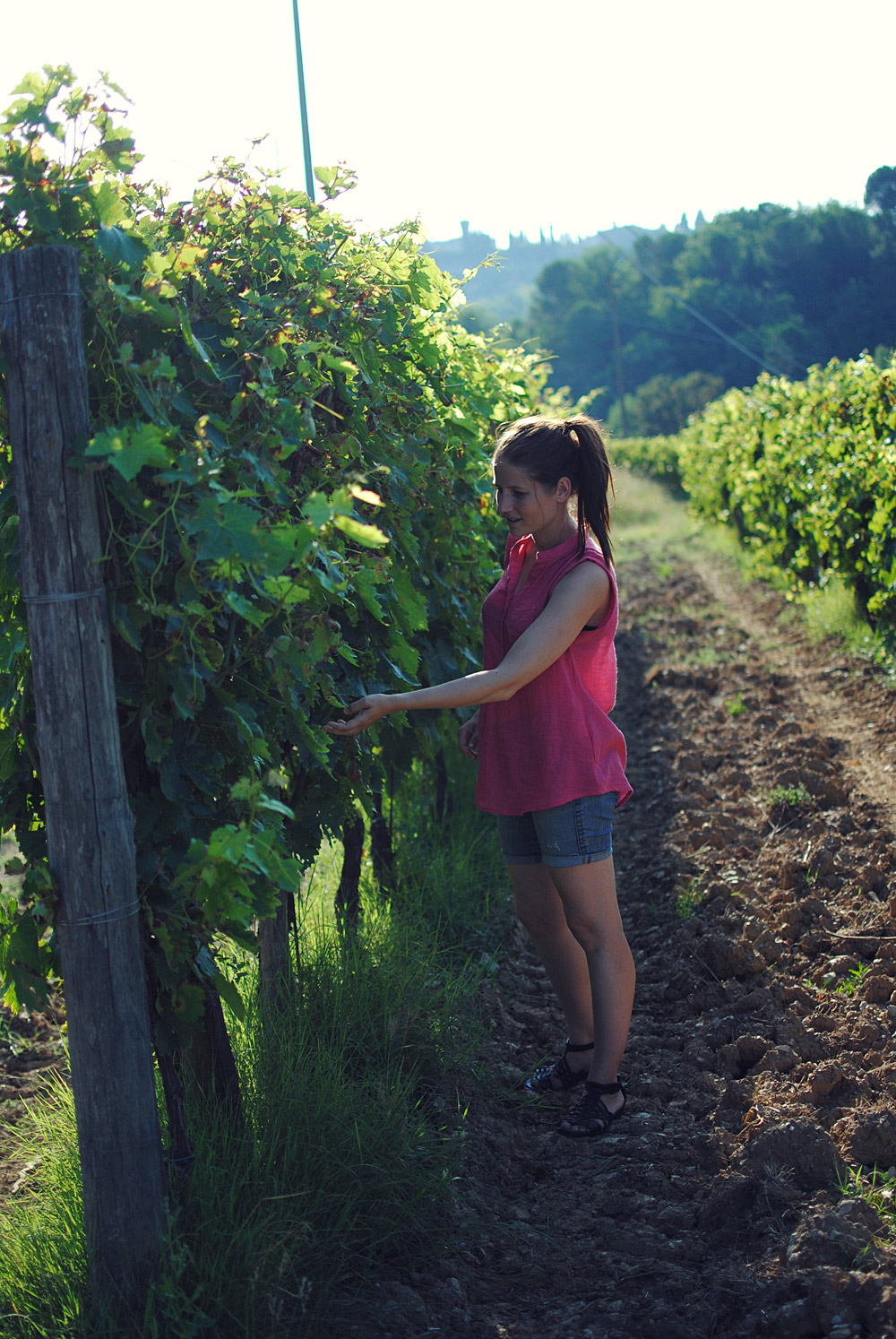 Guide til Toscana og Greve in Chianti | Frk. Kræsen