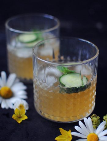 Opskrift: Sommerdrink med gin