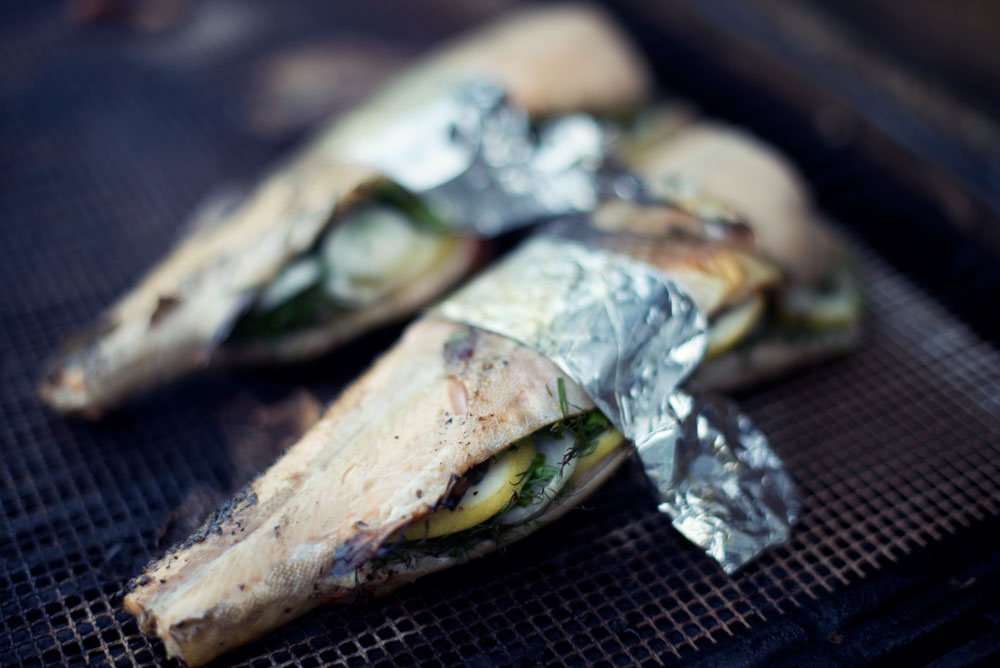 Konsekvenser inaktive hældning Grillet fisk | Lækker opskrift på fisk på grillen