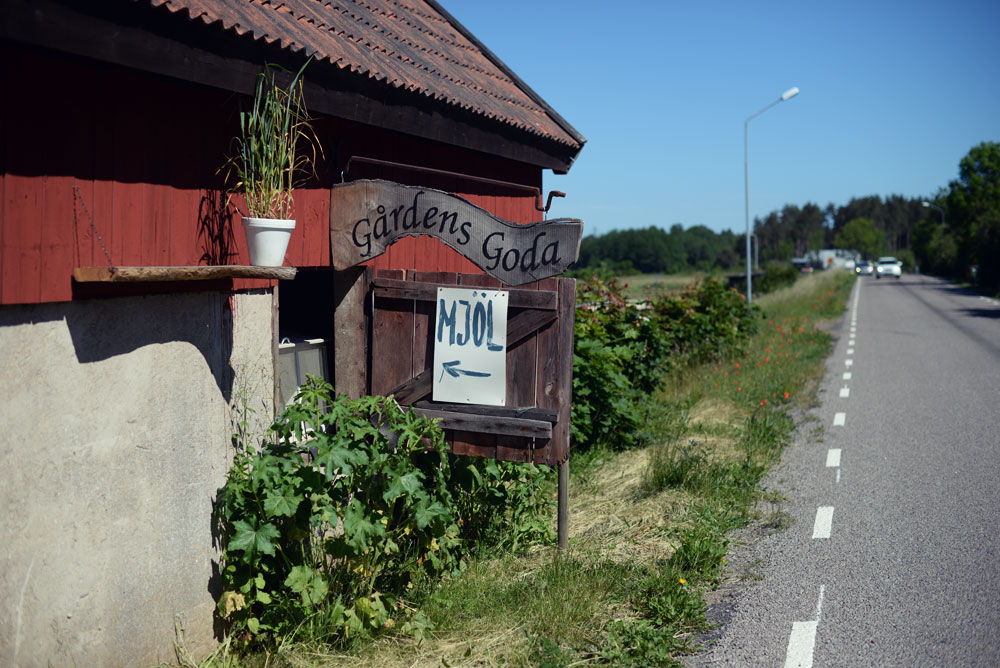 Guide til Öland i Sverige | Frk. Kræsen