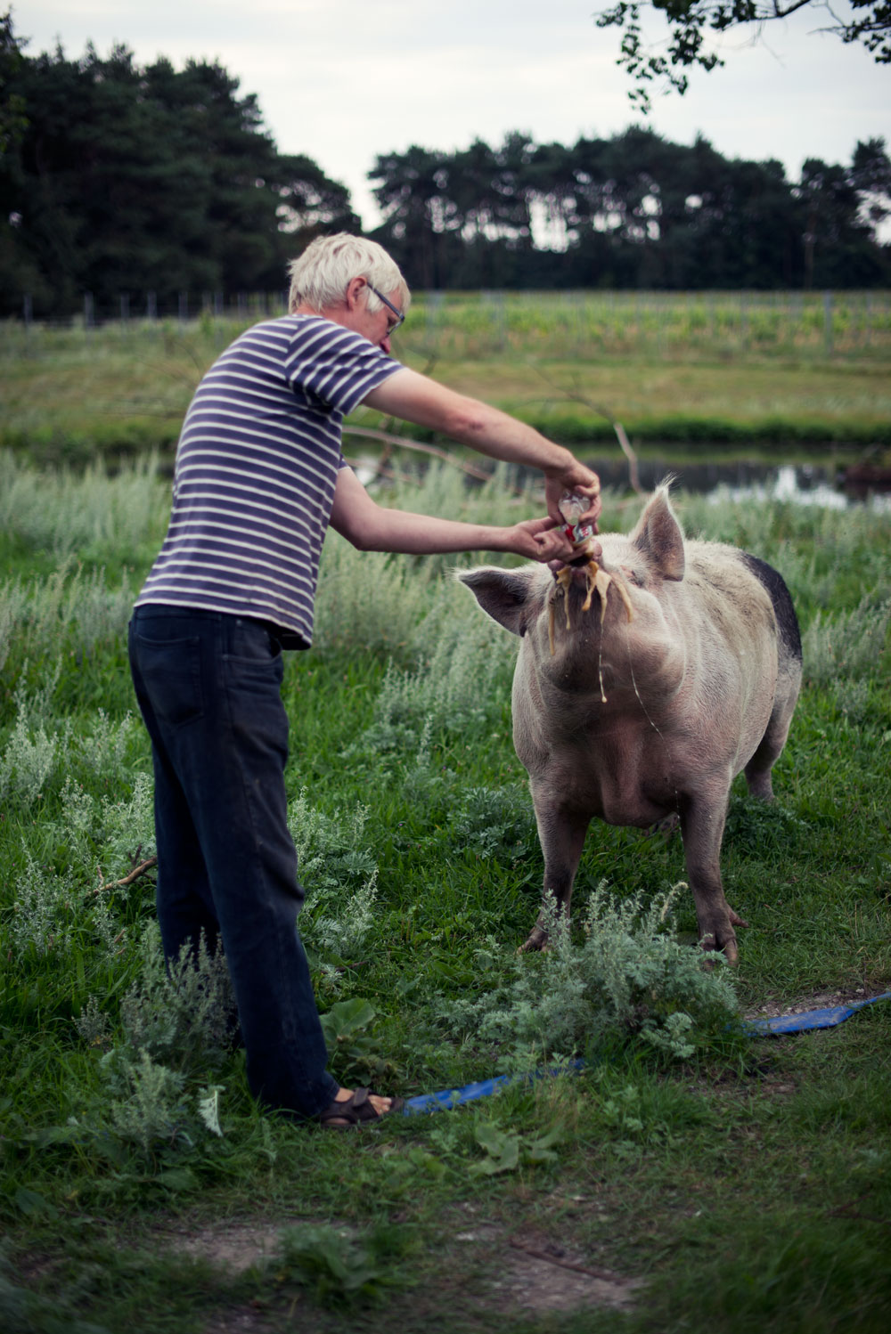 Guide til Bornholm | Frk. Kræsen