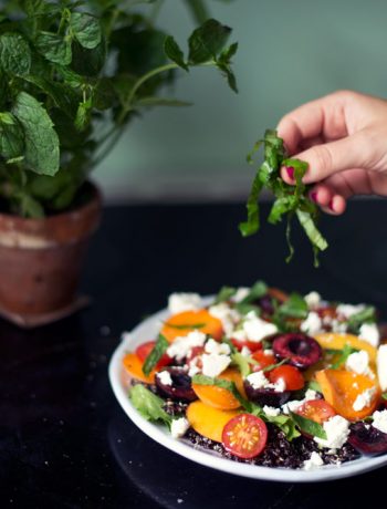 Opskrift: Sommersalat med stenfrugt | Frk. Kræsen