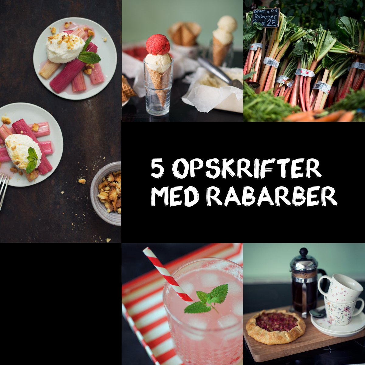 Opskrifter med rabarber