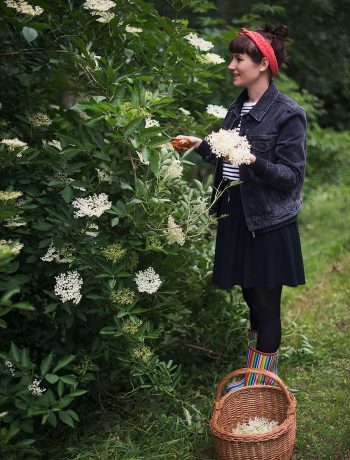 5 opskrifter med hyldeblomst