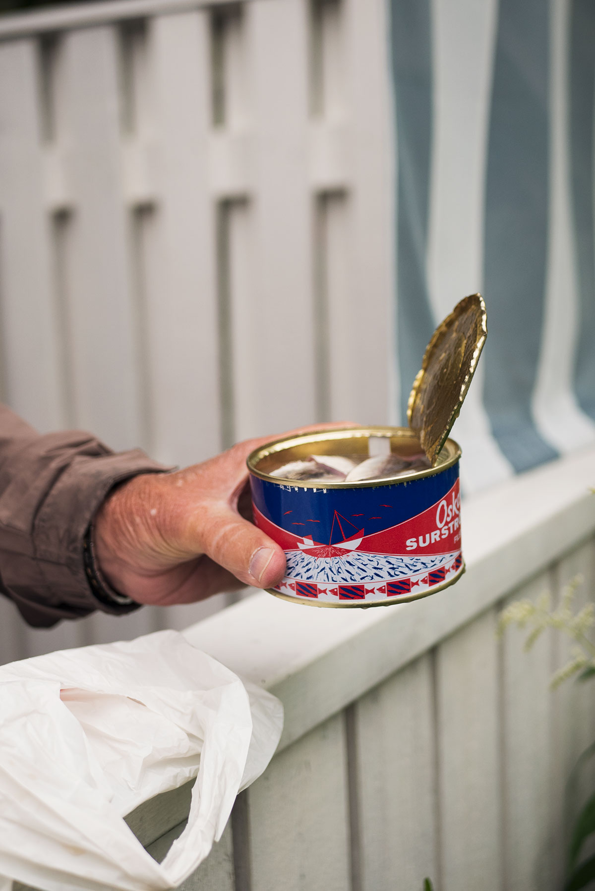 Guide: Sådan spiser du svensk surströmming | Frk. Kræsen