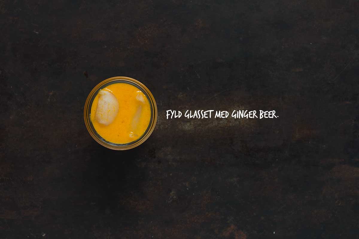 Opskrift: Drink med havtorn og ginger | Frk. Kræsen