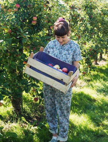 På en æbleplantage i Niedersachsen | Frk. Kræsen